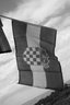 gal/cro 08/_thb_small-IMG_5017.JPG